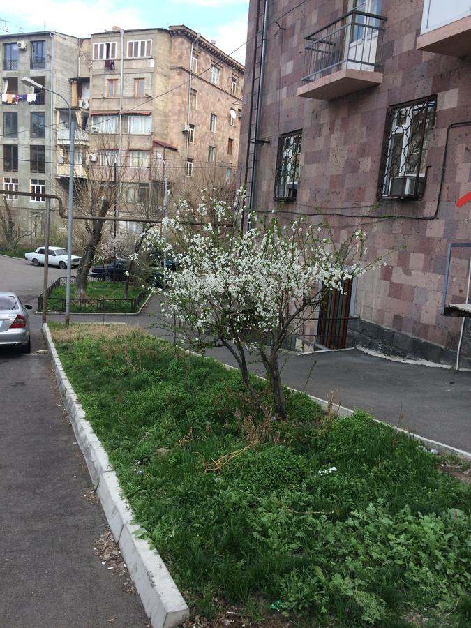 Apartment In The Center Of Єреван Екстер'єр фото